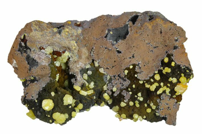 Vanadinite Crystals on Botryoidal Goethite - Mibladen, Morocco #133884